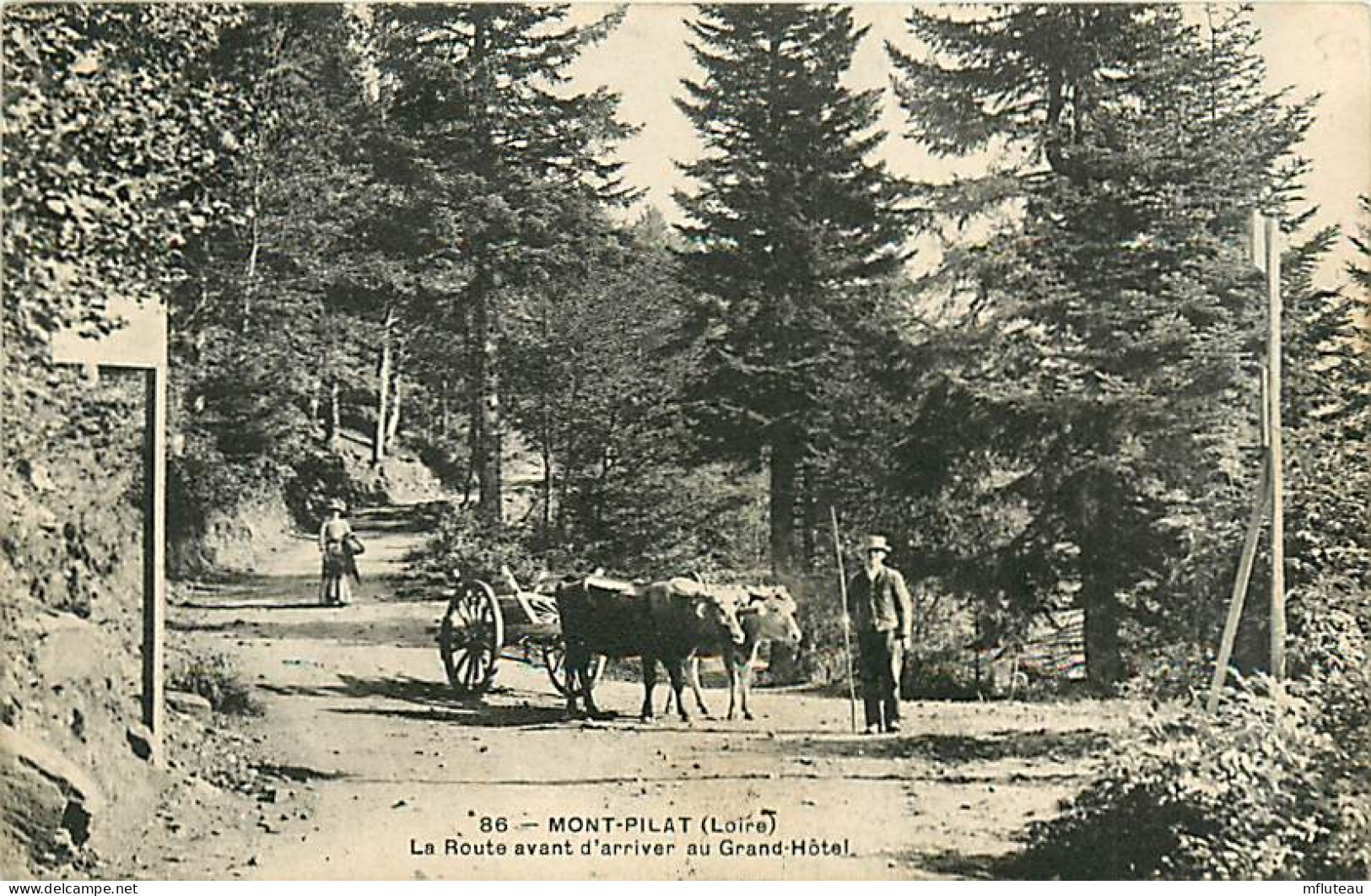 42* MONT PILAT Bufs       MA93,0094 - Mont Pilat