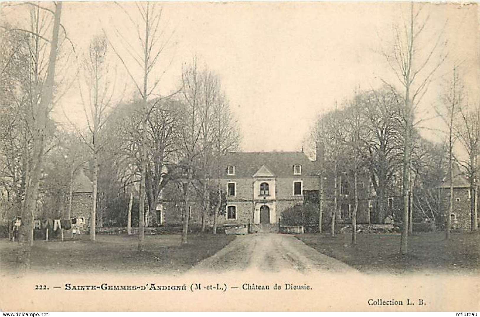 49* STE GEMMES D ANDIGNE  Chateau De Dieusie                 MA93,1265 - Andere & Zonder Classificatie