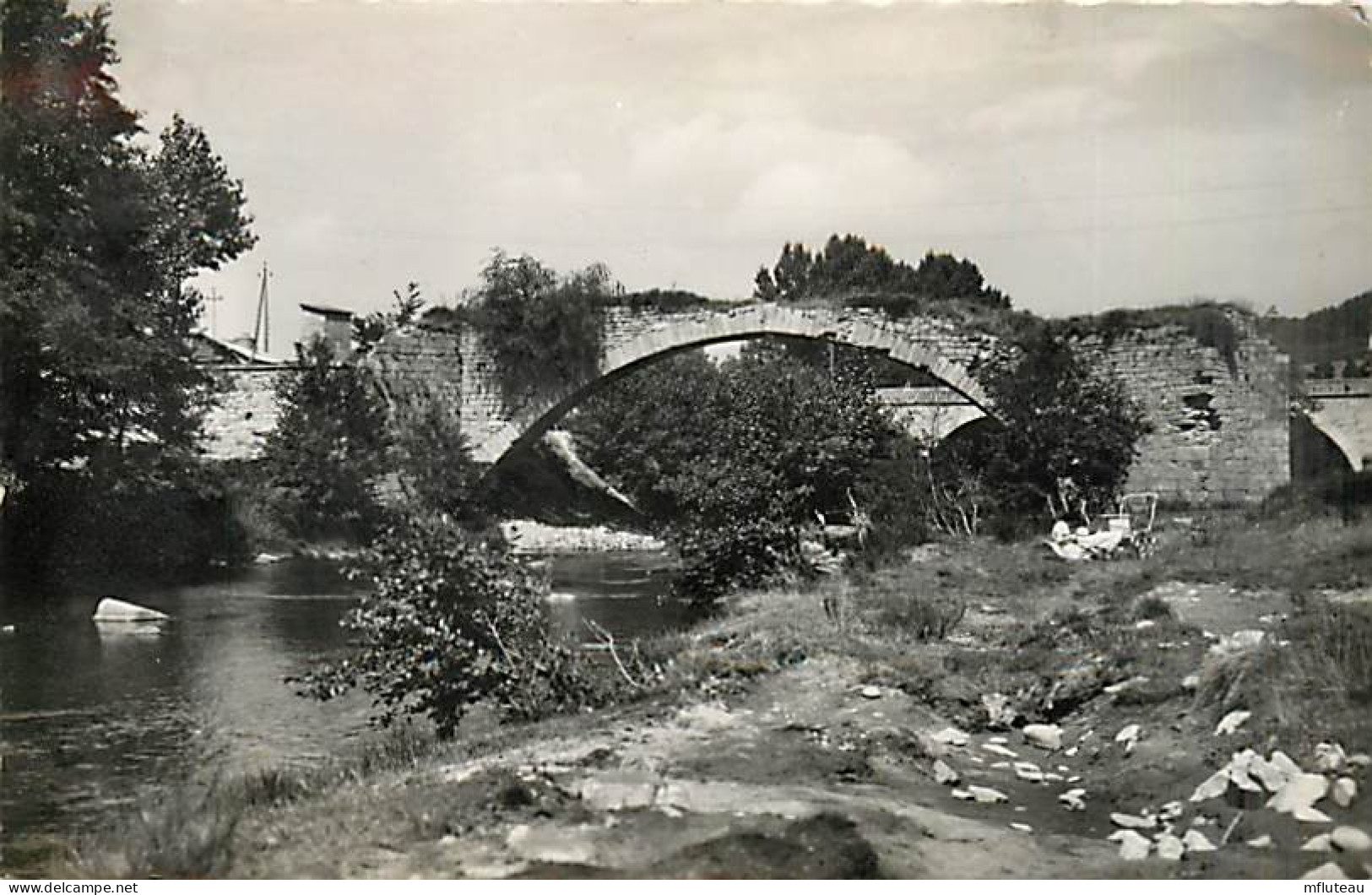 48* LANGOGNE  Vieux Pont  CPSM (petit Format)                 MA93,1247 - Langogne
