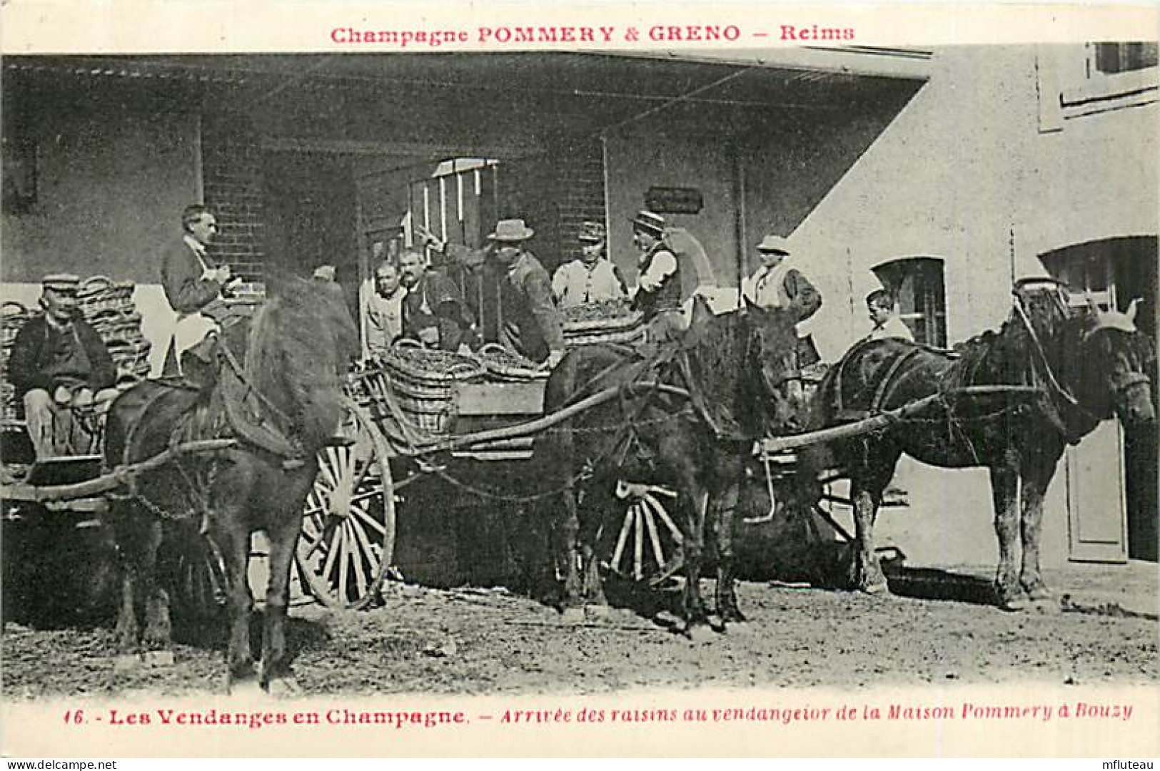 51* REIMS  Champagne Pommery  Vendanges                 MA93,0932 - Reims