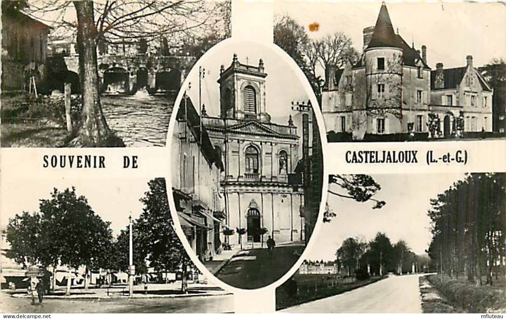 47* CASTELJALOUX  Multivues  CPSM (petit Format)                 MA93,0663 - Casteljaloux