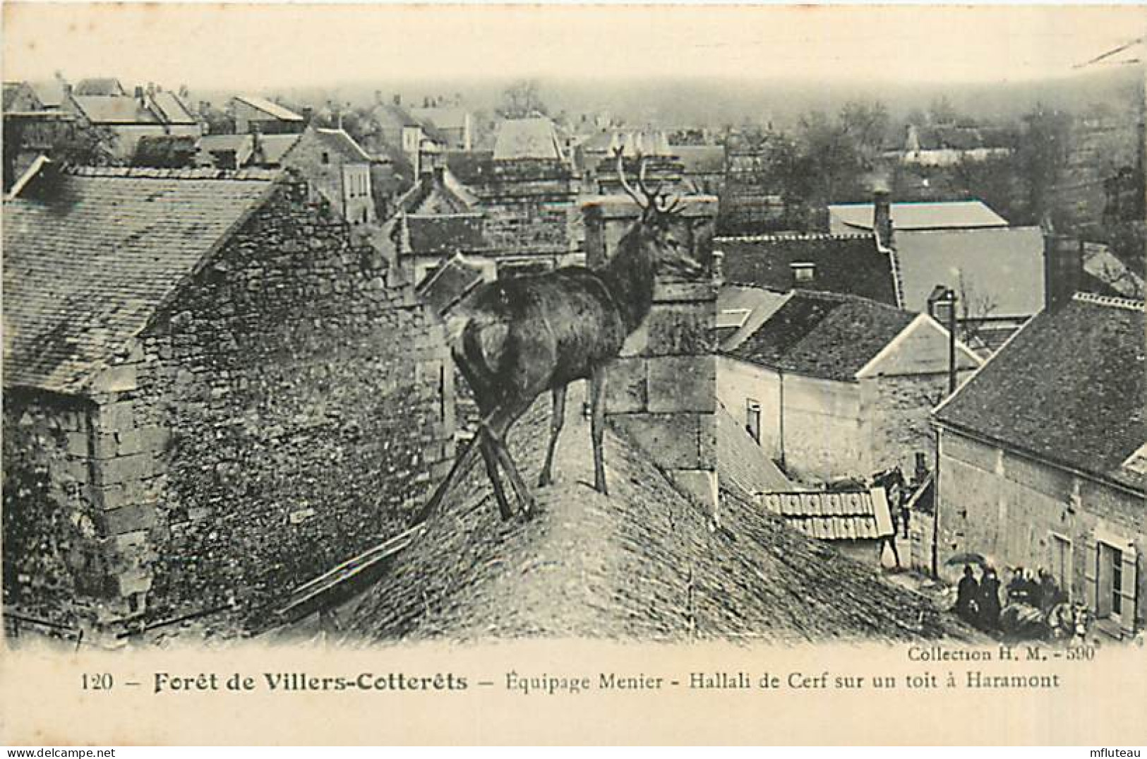 02*   VILLERS COTTERETS Ch A Courre- Cerf Sur Toit Haramont MA94,0138 - Villers Cotterets