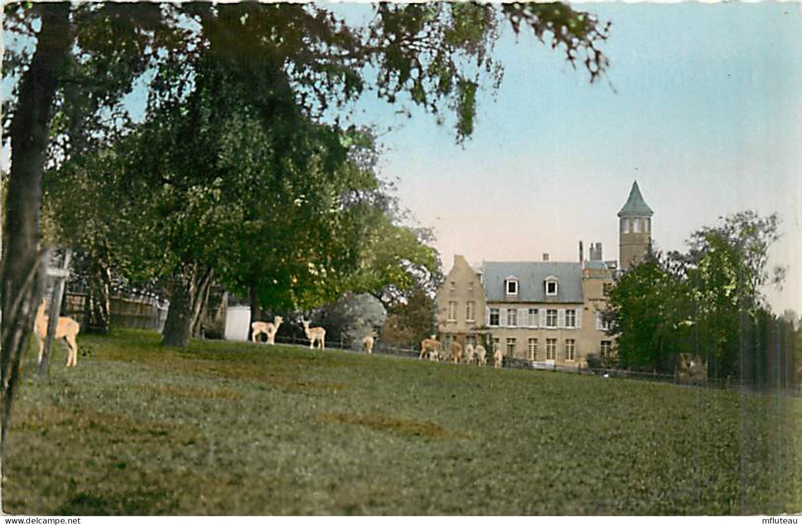 62* ARQUES  Chateau  (CPSM Petit Format)                 MA95,0237 - Arques