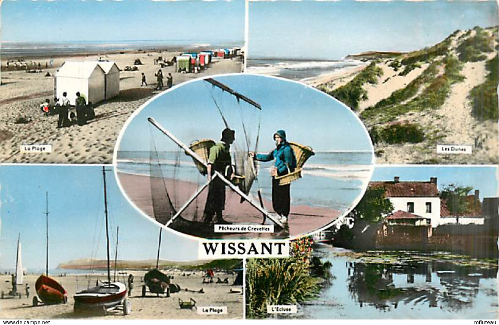 62* WISSANT  Multivues  (CPSM Petit Format)                 MA95,0097 - Wissant
