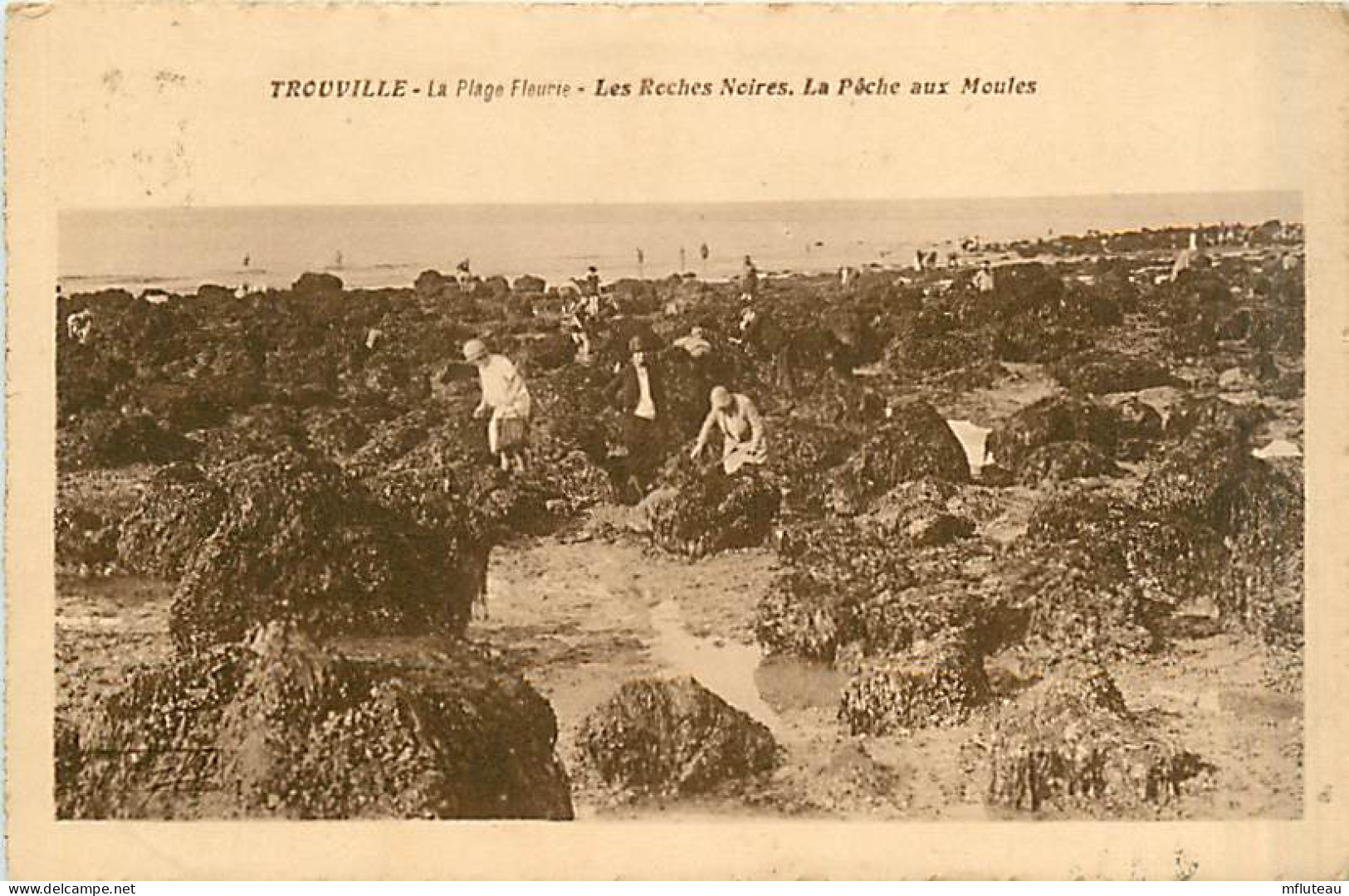 14* TROUVILLE  Roches Noires                 MA94,1287 - Trouville