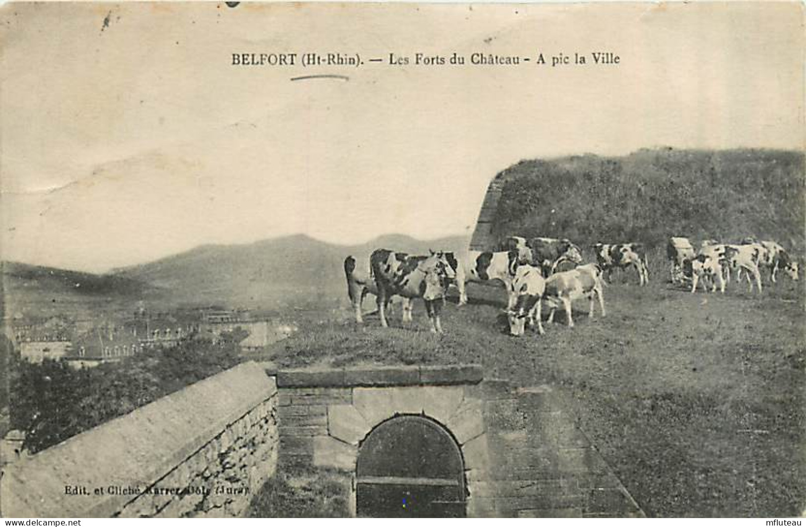 90* BELFORT  Les Forts Du Chateau                 MA95,0765 - Autres & Non Classés