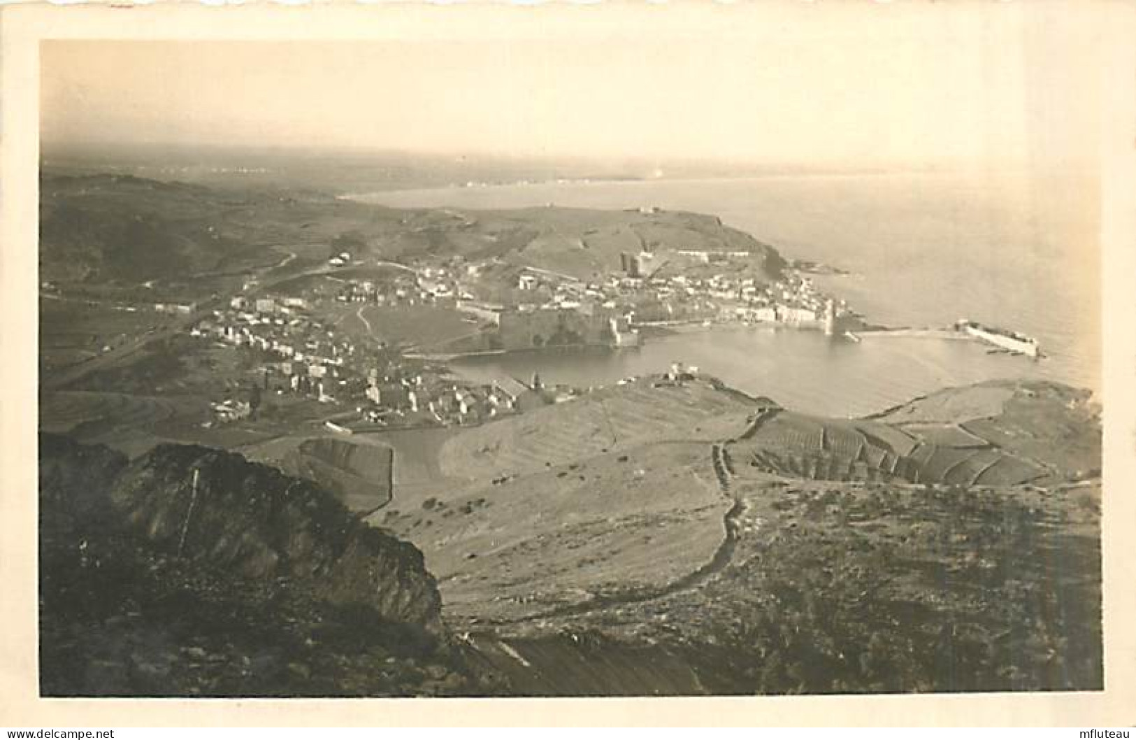 66*  COLLIOURE   Carte Photo                MA95,0595 - Collioure