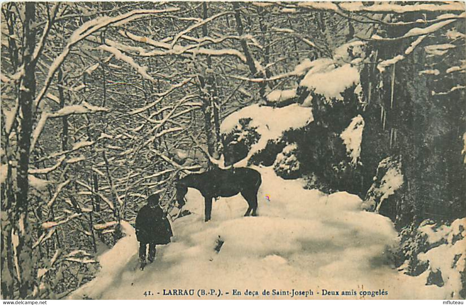 64* LARRAU  Neige                  MA95,0527 - Autres & Non Classés