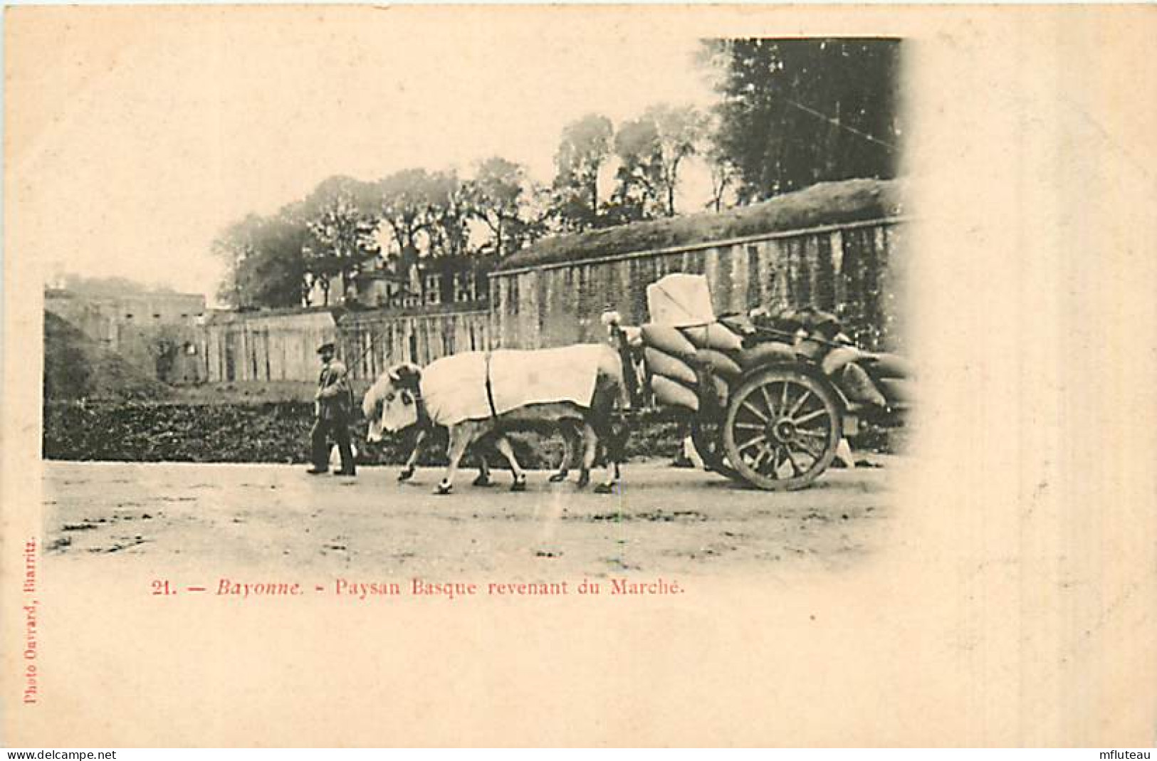 64* BAYONNE  Paysan Revenant Du Marche                  MA95,0492 - Bayonne