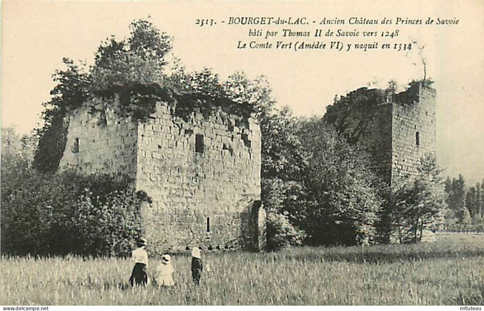 73* BOURGET DU LAC Ruines Chateau                  MA95,1242 - Le Bourget Du Lac