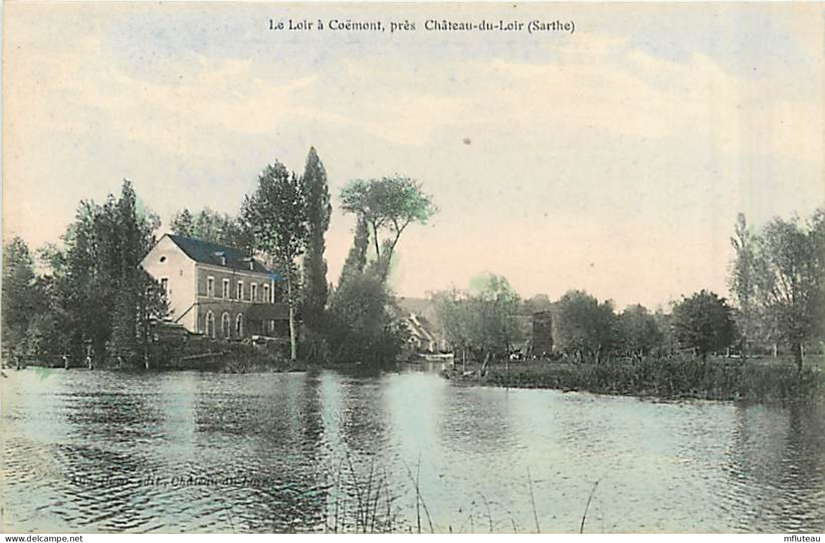 72* COEMONT  La Loire                  MA95,1158 - Andere & Zonder Classificatie