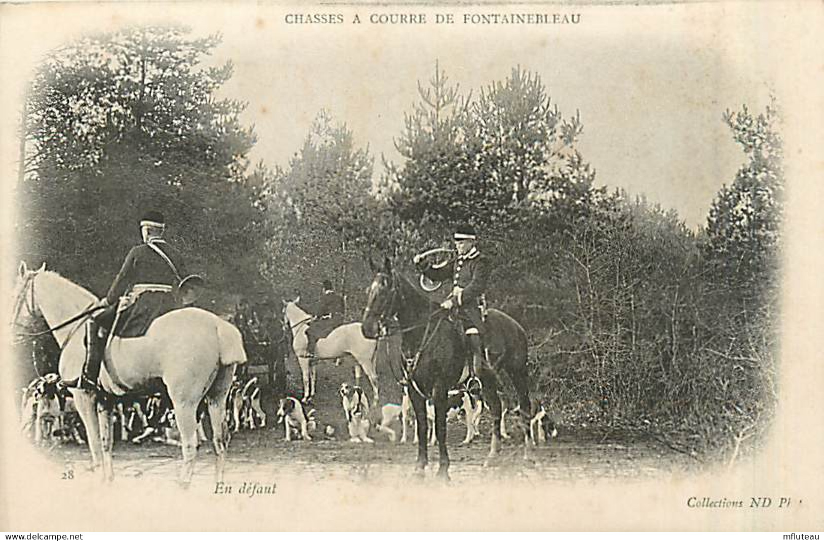 77* FONTAINEBLEAU Chasse A Courre  En Defaut      MA96,0756 - Fontainebleau