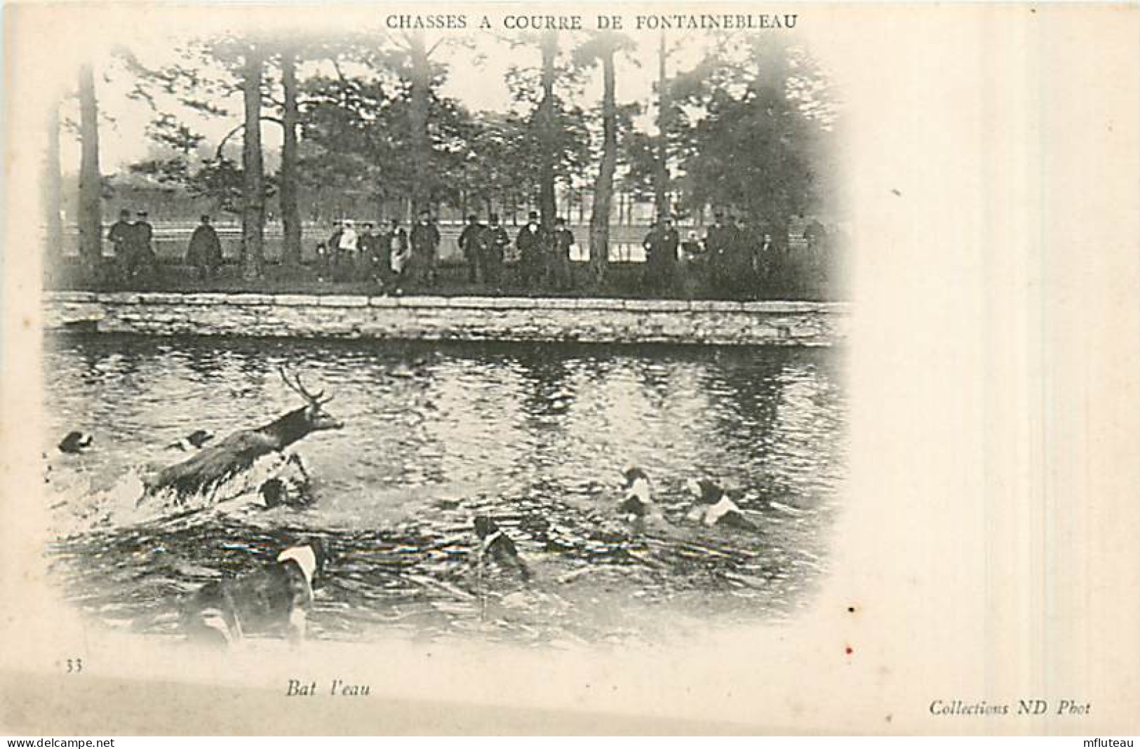 77* FONTAINEBLEAU Chasse A Courre  Bat L Eau        MA96,0742 - Fontainebleau