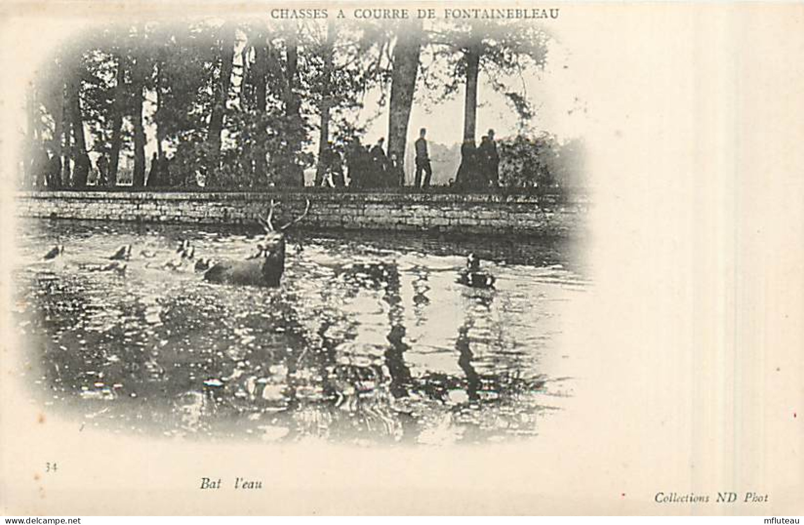 77* FONTAINEBLEAU Chasse A Courre  Bat L Eau           MA96,0746 - Fontainebleau