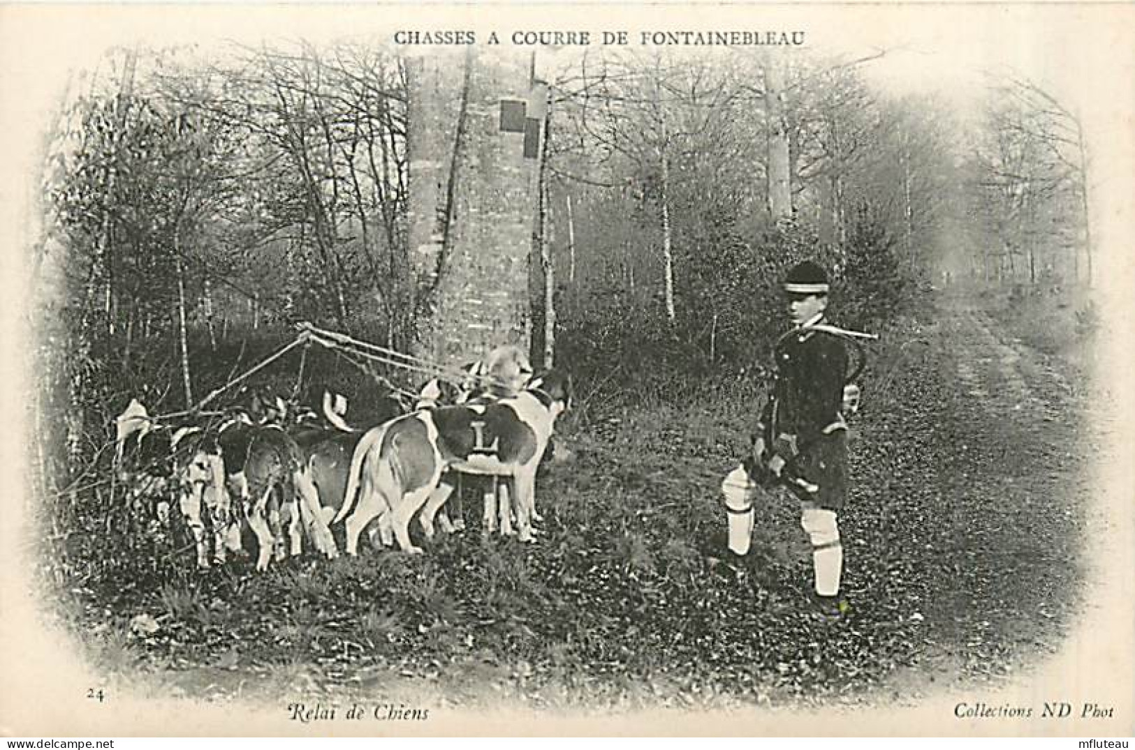 77* FONTAINEBLEAU Chasse A Courre  Relai De Chiens     MA96,0744 - Fontainebleau