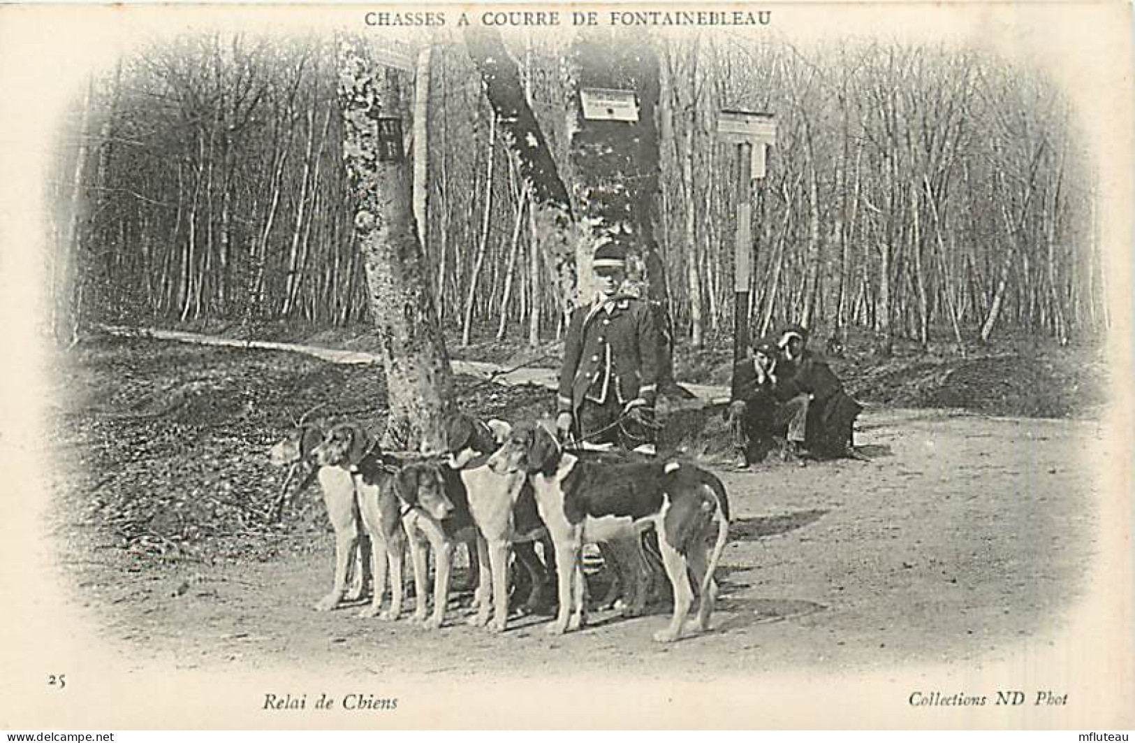 77* FONTAINEBLEAU Chasse A Courre  Relai De Chiens      MA96,0738 - Fontainebleau