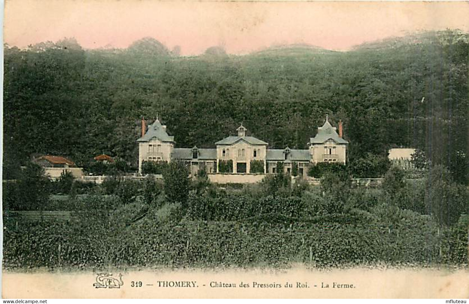 77* THOMERY Chateau Pressoirs Du Roi       MA96,0678 - Autres & Non Classés