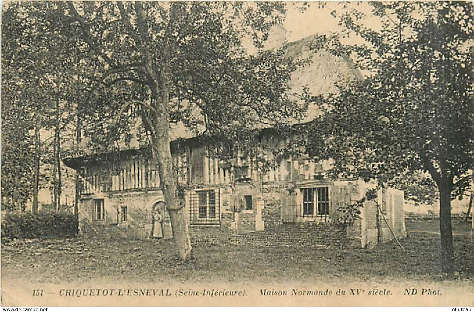 76* CRIQUETOT L ESNEVAL  Maison Normande         MA96,0442 - Criquetot L'Esneval