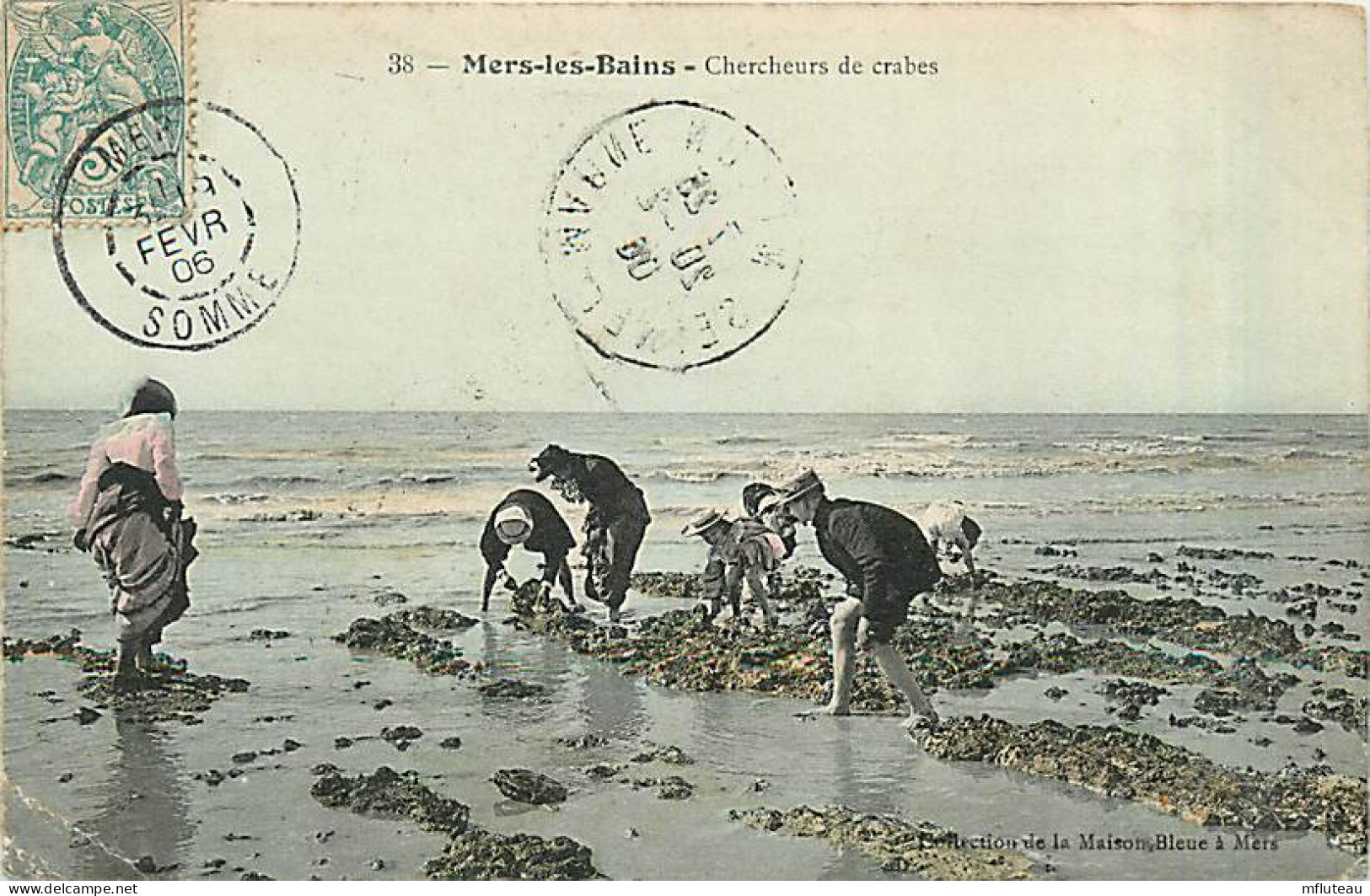 80* MERS LES BAINS  Checheurs De Crabes                     MA97,0186 - Mers Les Bains