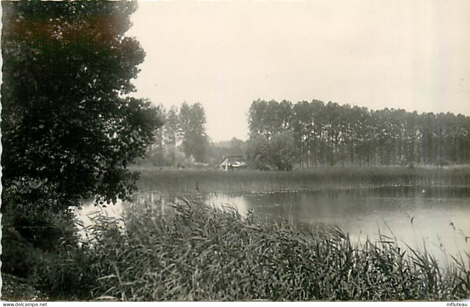 80* AILLY SUR SOMME         Etangs             MA97,0094 - Ailly Le Haut Clocher