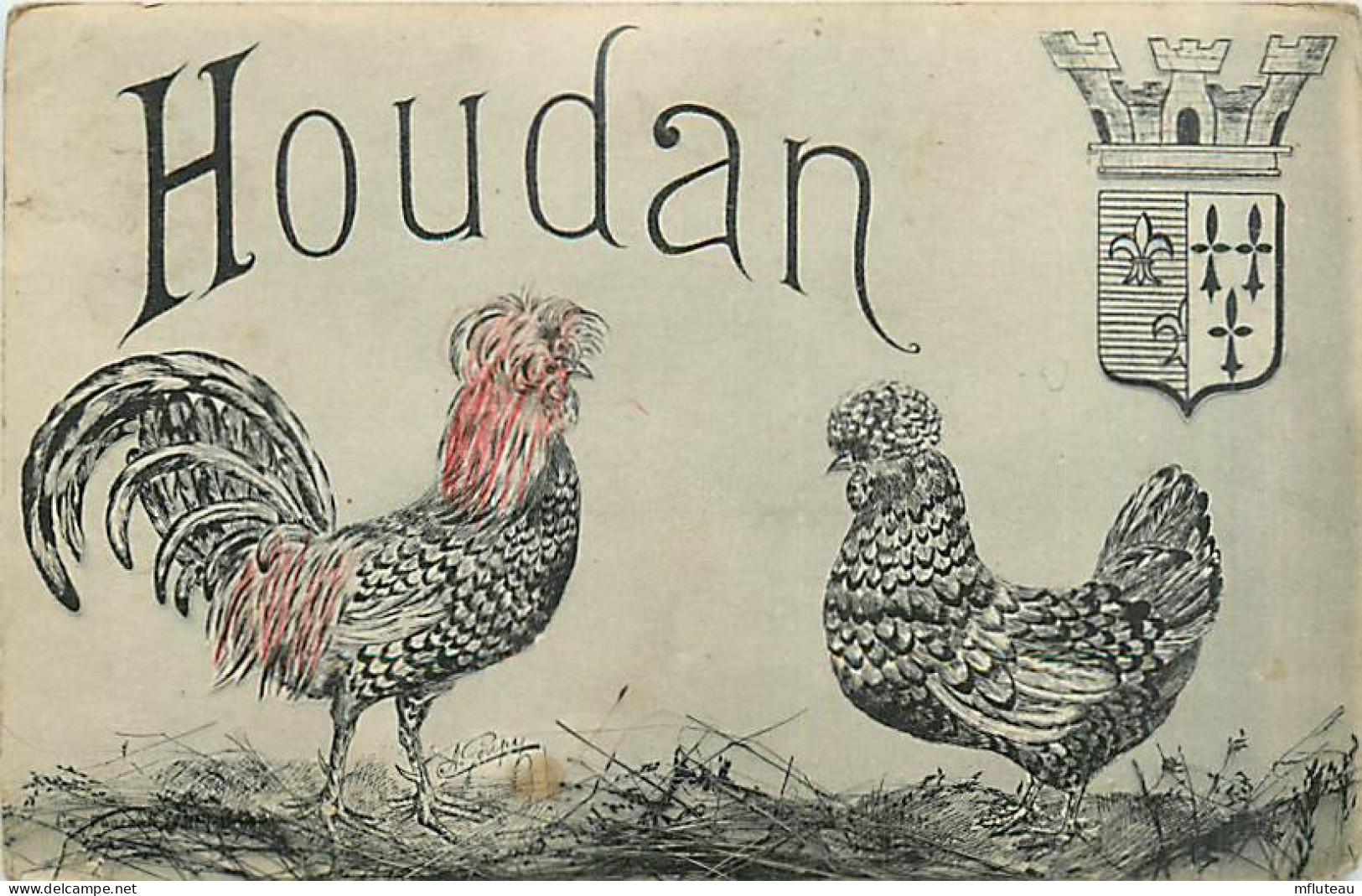 78* HOUDAN  Poules       MA96,0915 - Houdan