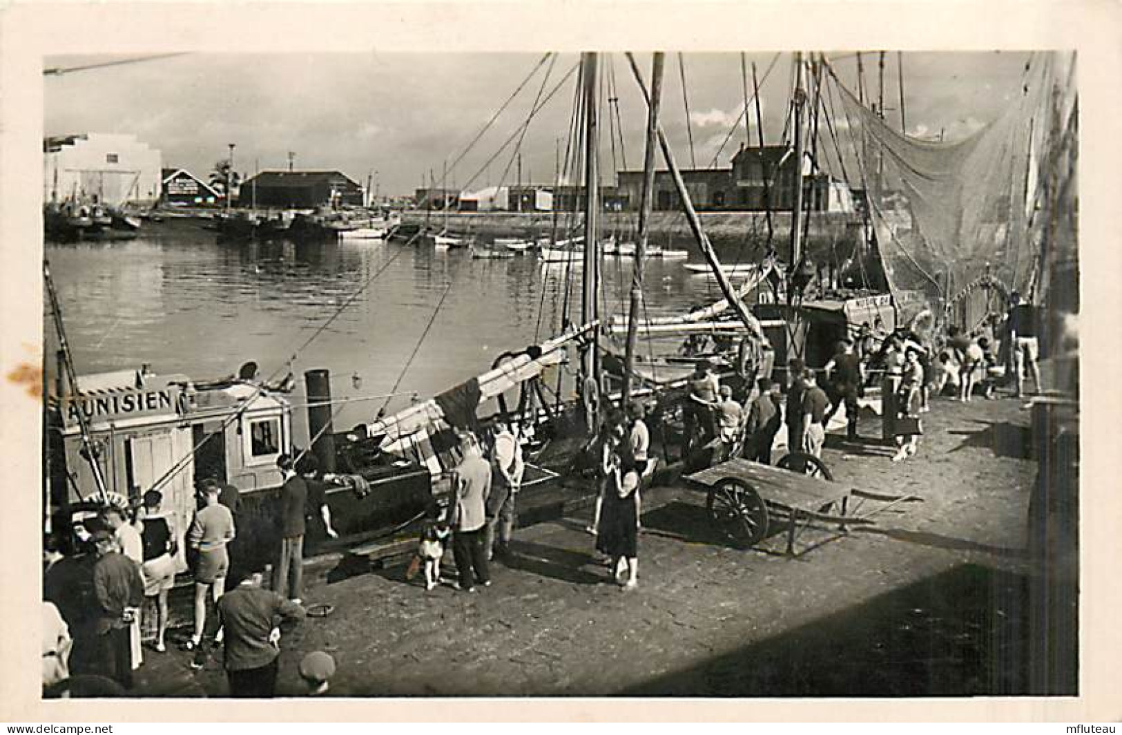 85* LES SABLES D OLONNES  Bateaux De Peche    (CPSM Petit Format)     MA97,0664 - Sables D'Olonne