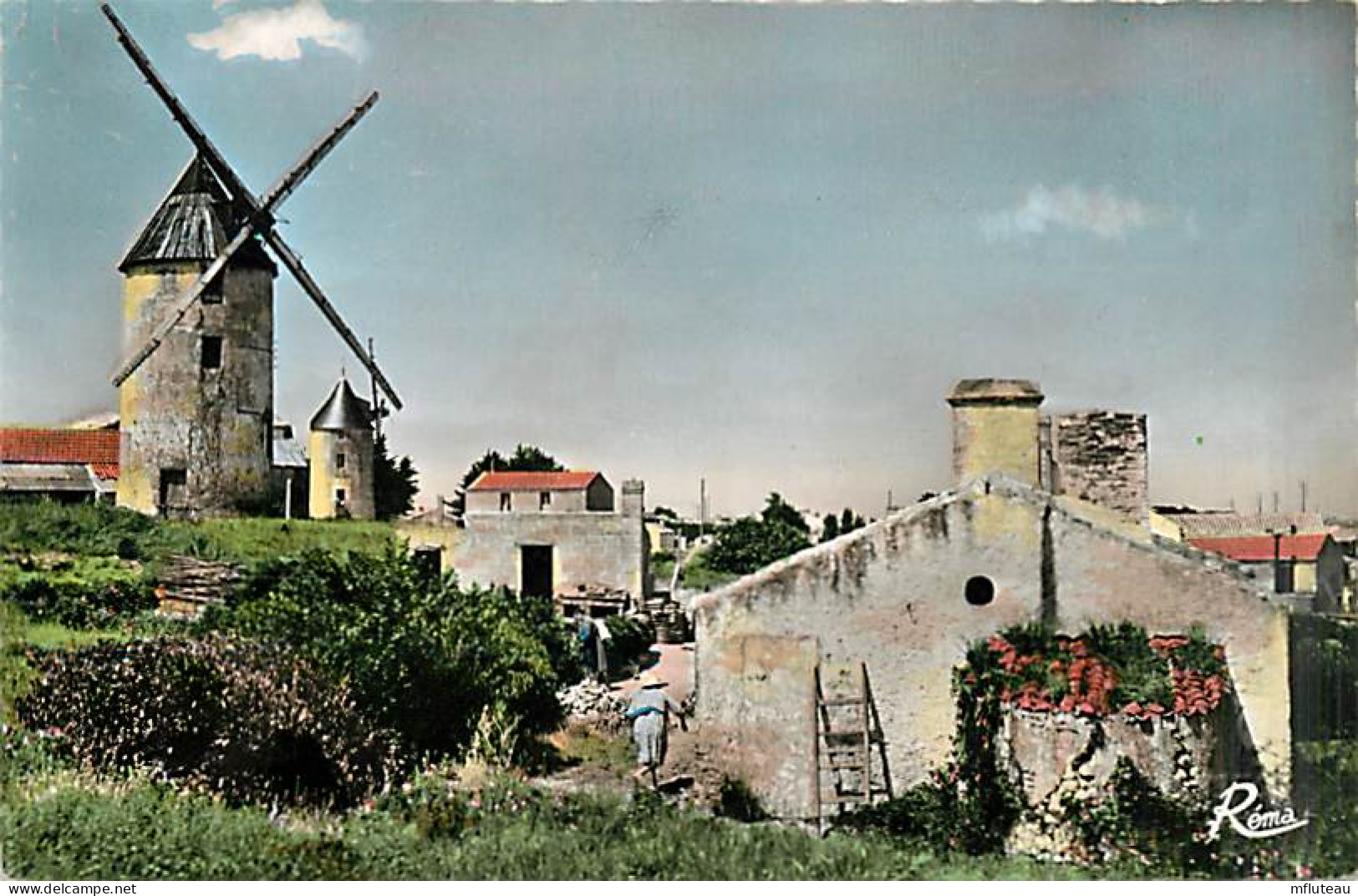 85* NOIRMOUTIER  Moulin  (CPSM Petit Format)                    MA97,0662 - Noirmoutier