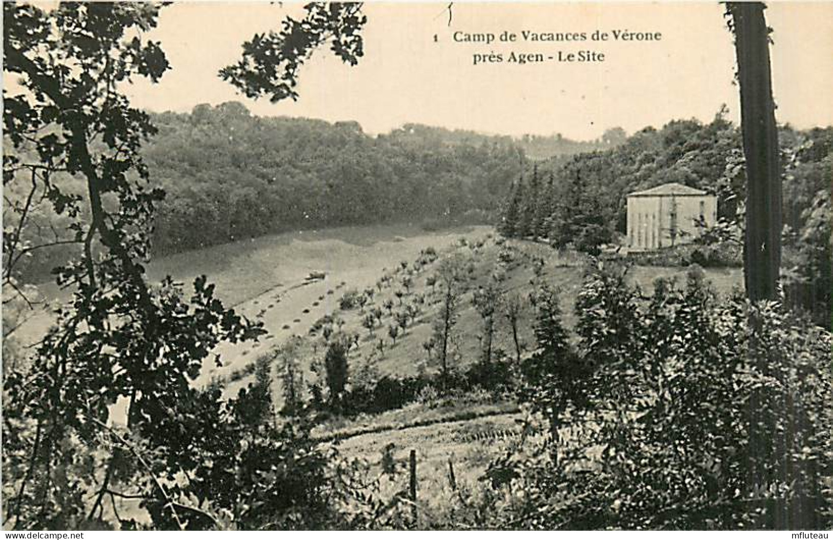 81* VERONE Camp Vacances   -                  MA97,0314 - Other & Unclassified