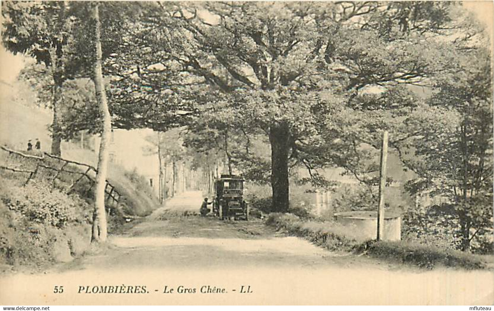 88* PLOMBIERES  Le Gros Chene       MA97,1084 - Plombieres Les Bains