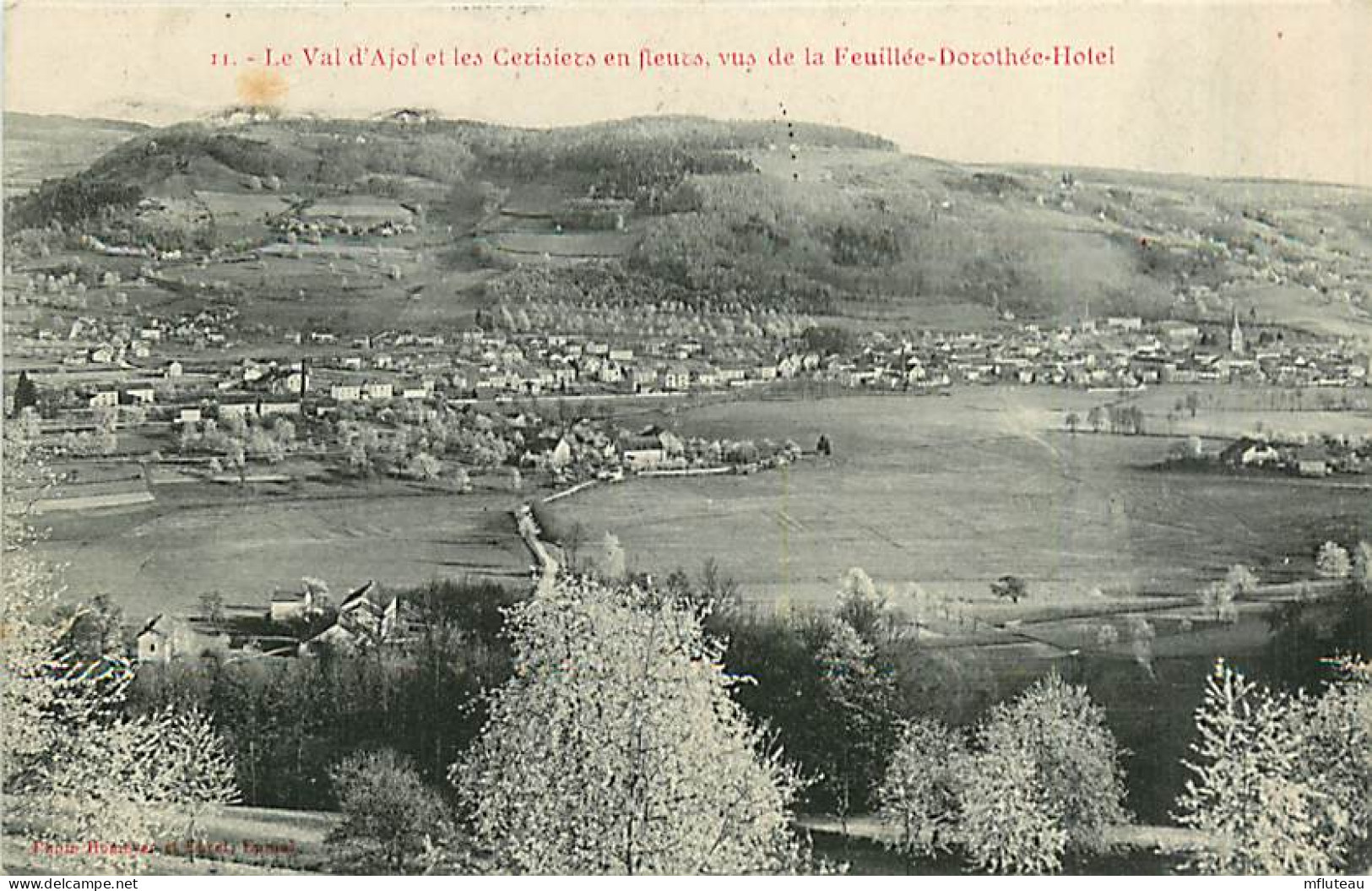 88* LE VAL D AJOL  Cerisiers         MA97,1026 - Autres & Non Classés