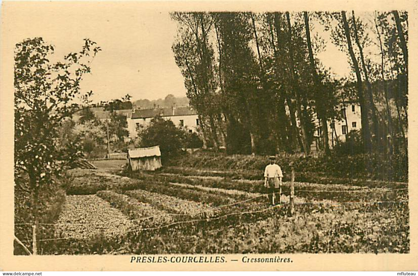 95* PRESLES COURCELLES  Cressonnieres            MA98,1048 - Presles