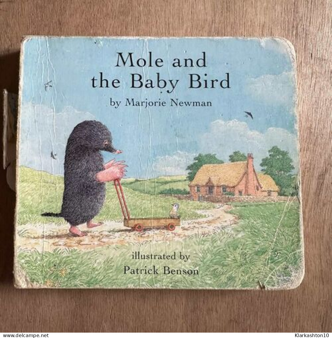 Mole And The Baby Bird - Andere & Zonder Classificatie