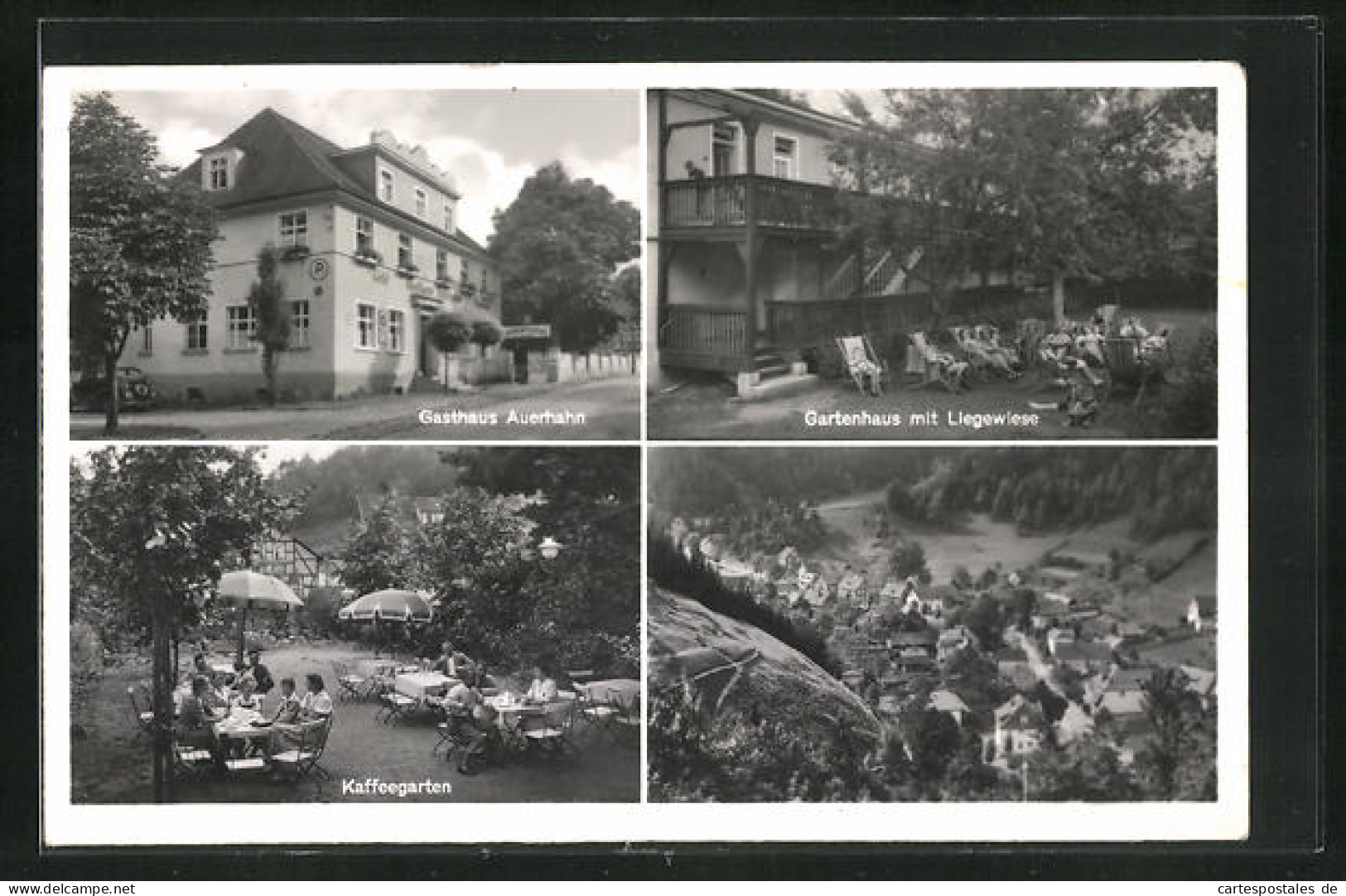 AK Rohrbach I. Thür. Wald, Gasthaus Auerhahn, Gartenhaus Und Kaffeegarten  - Sonstige & Ohne Zuordnung