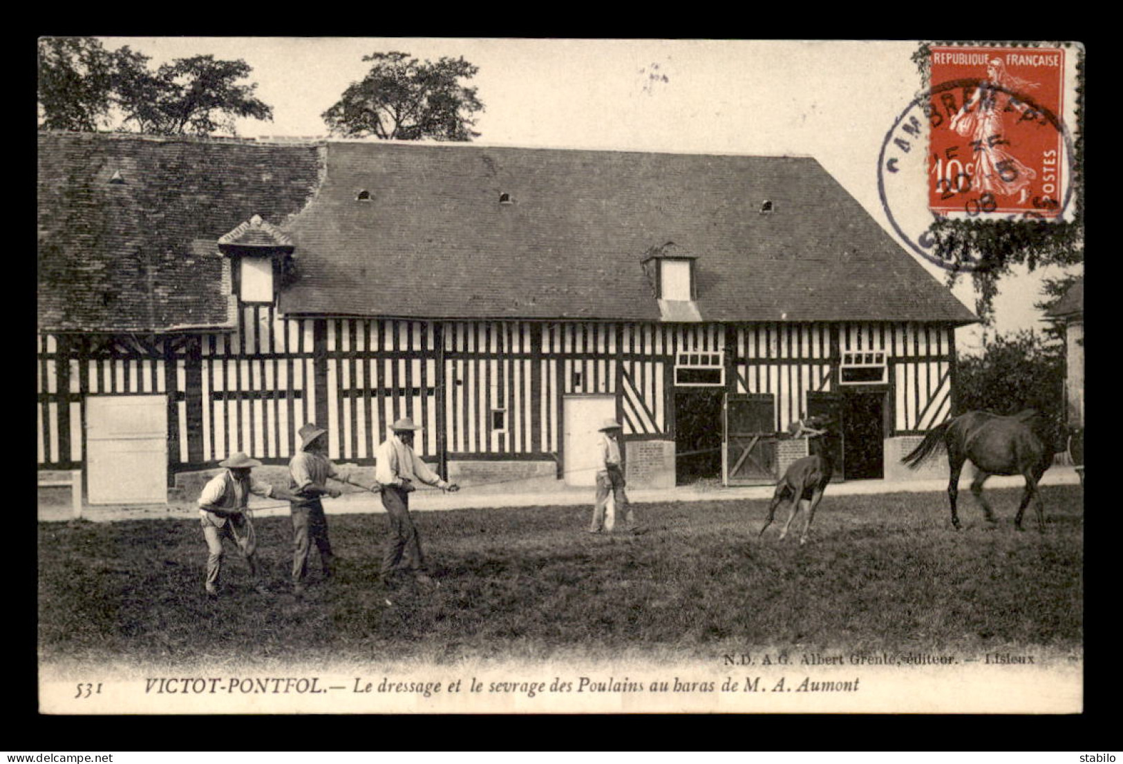 14 - VICTOT-PONTFOL - LE DRESSAGE ET LE SEVRAGE DES POULAINS AU HARAS DE M. A. AUMONT - Other & Unclassified