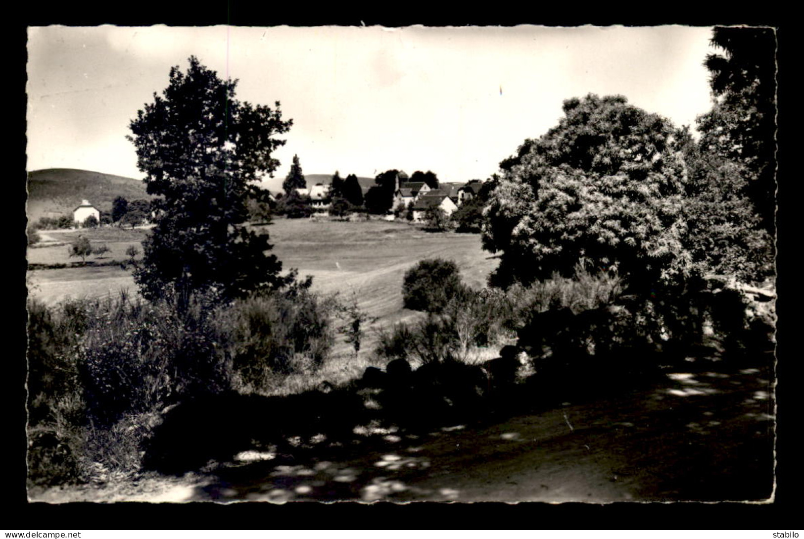 19 - SARRAN - VUE DE LA ROUTE D'EGLETONS - Autres & Non Classés