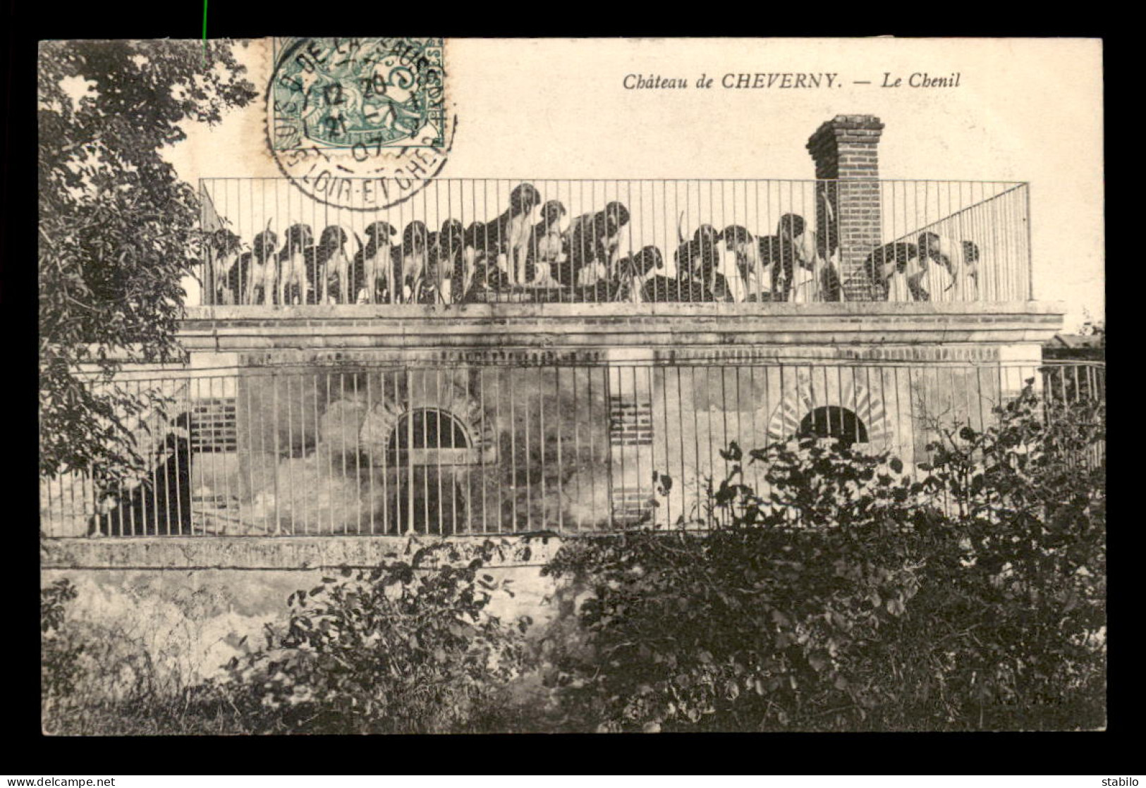 41 - CHEVERNY - LE CHENIL DU CHATEAU - CHASSE A COURRE - Cheverny