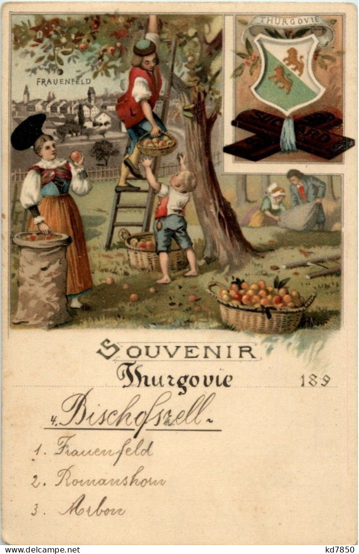 Souvenir Thurgovie - Frauenfeld Litho - Frauenfeld