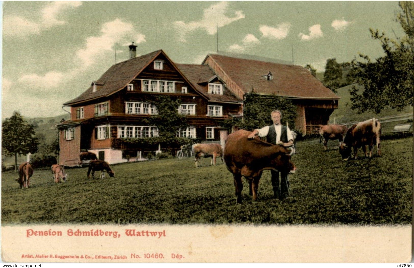 Wattwil - Pension Schmidberg - Wattwil