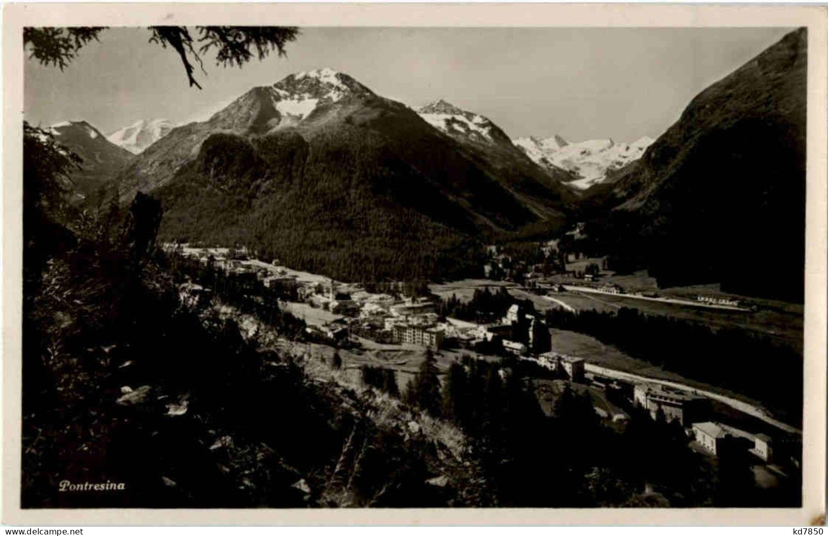 Pontresina - Pontresina