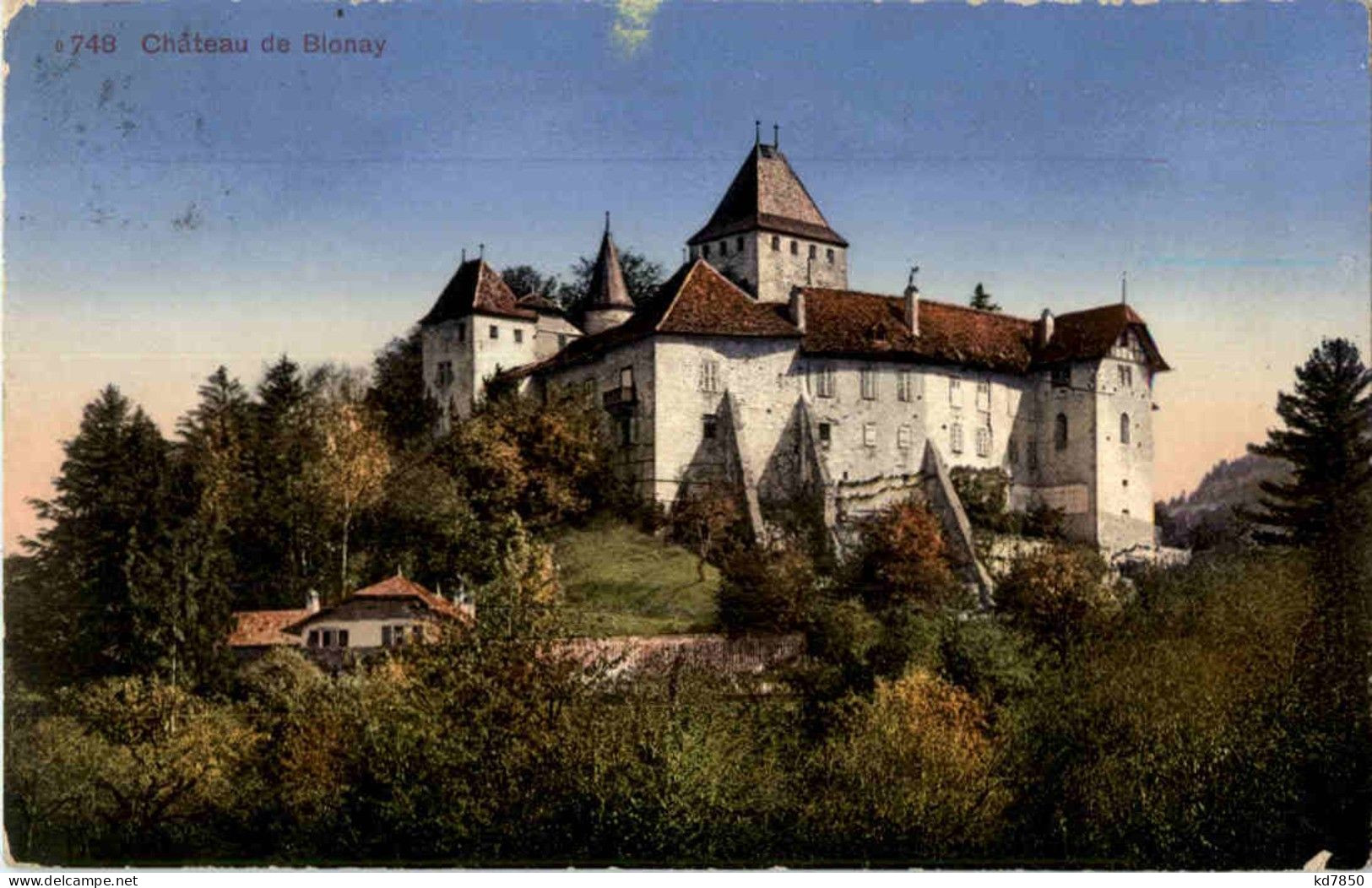 Chateau De Blonay - Blonay - Saint-Légier