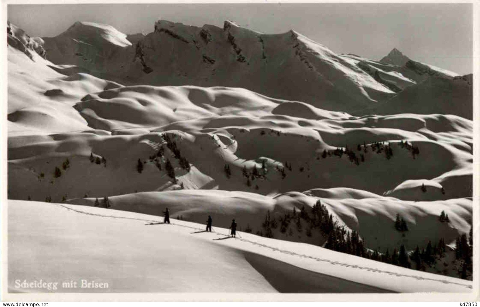 Scheidegg Mit Brisen - Sonstige & Ohne Zuordnung