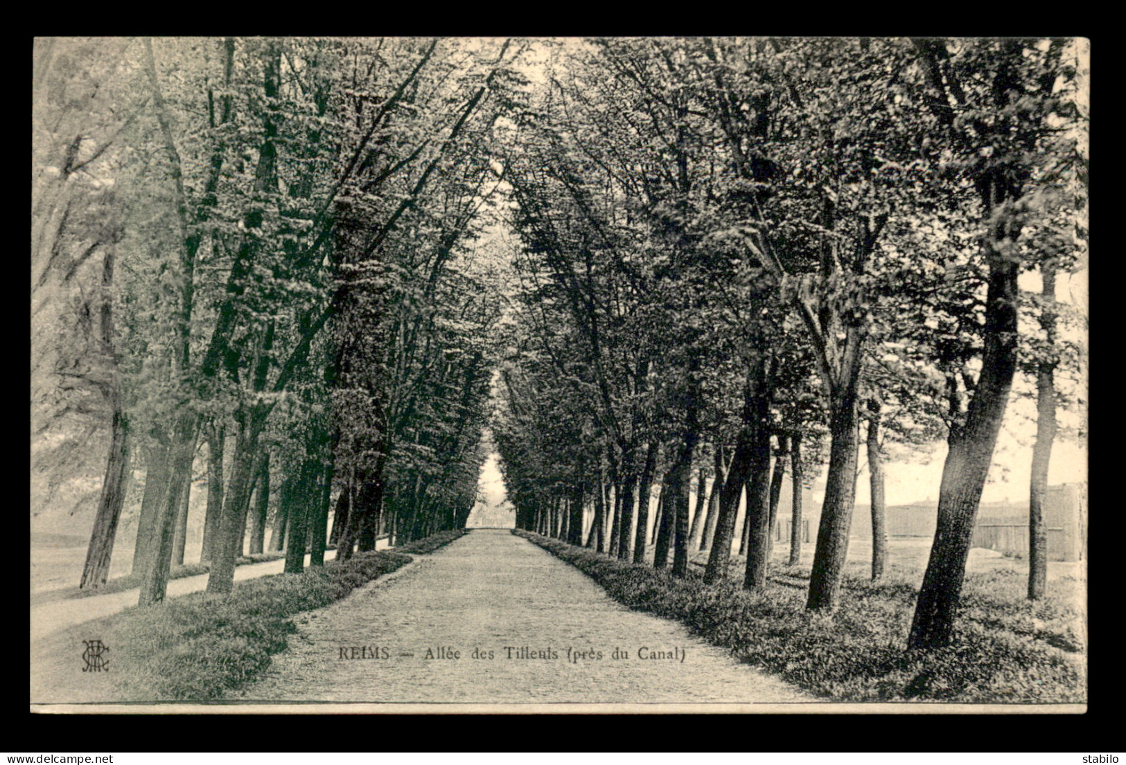 51 - REIMS - ALLEE DES TILLEULS VERS LE CANAL - Reims