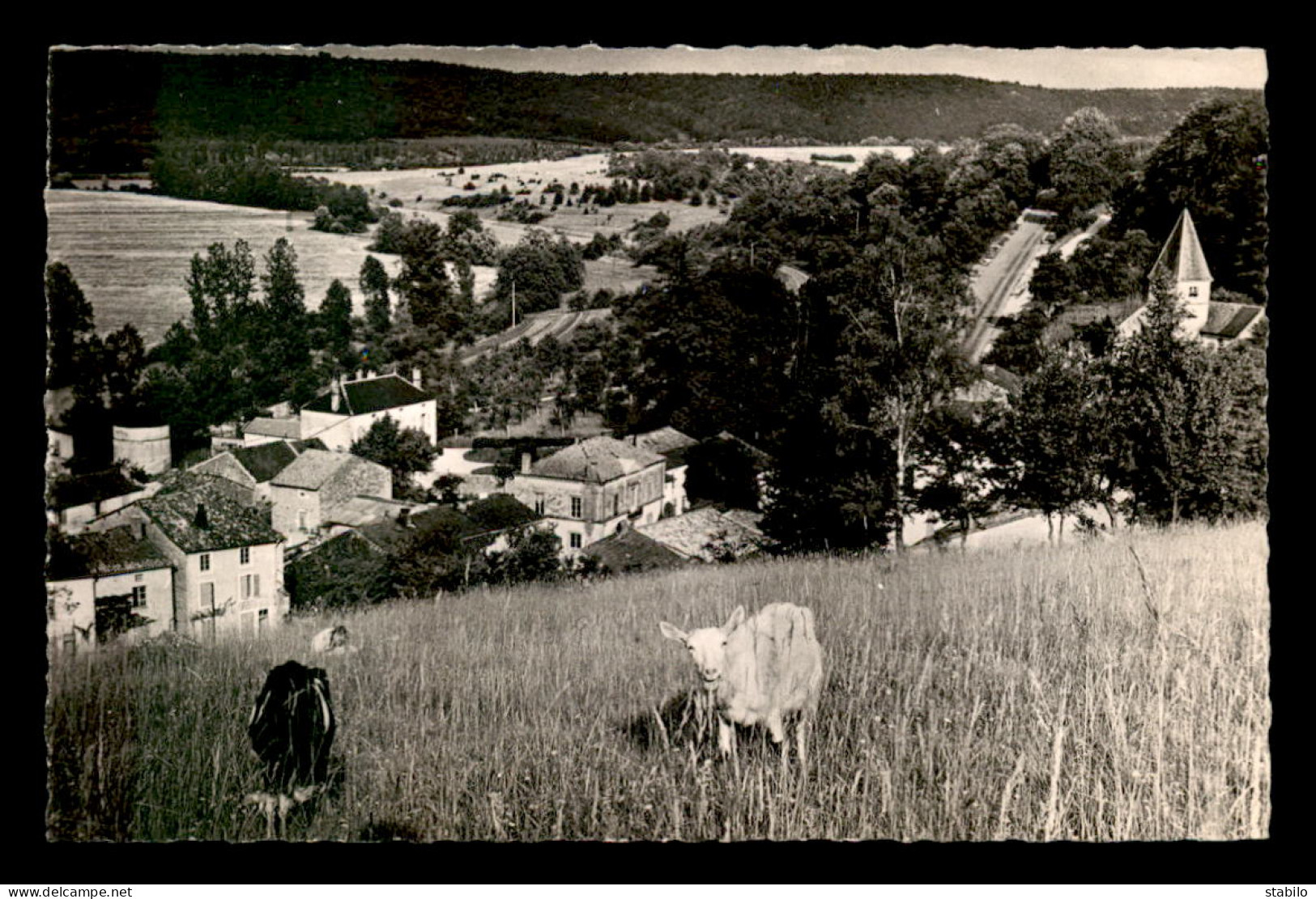 52 - PROVENCHERES-SUR-MARNE - VUE GENERALE - Andere & Zonder Classificatie