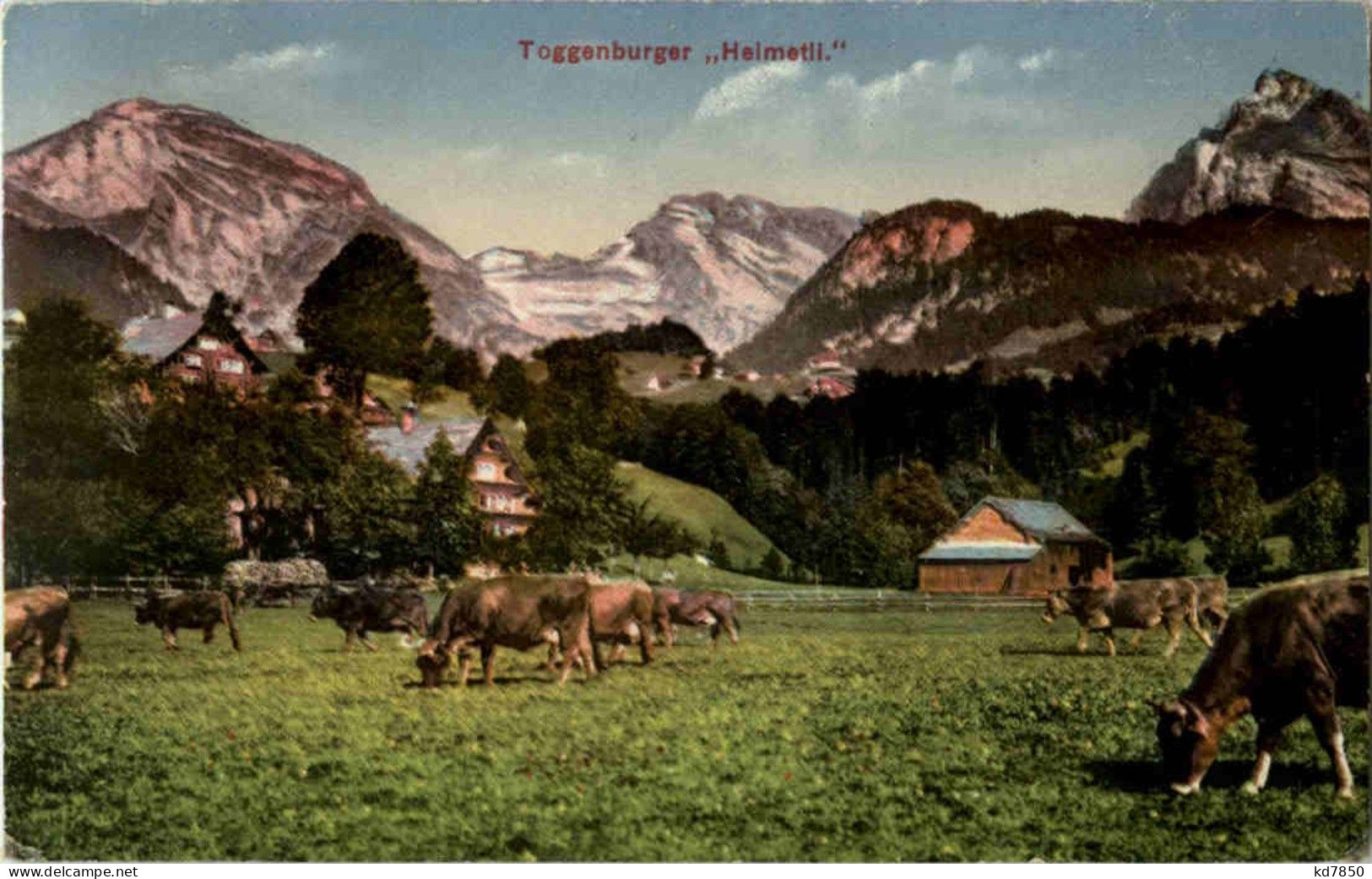 Toggenburger Heimetli - Other & Unclassified