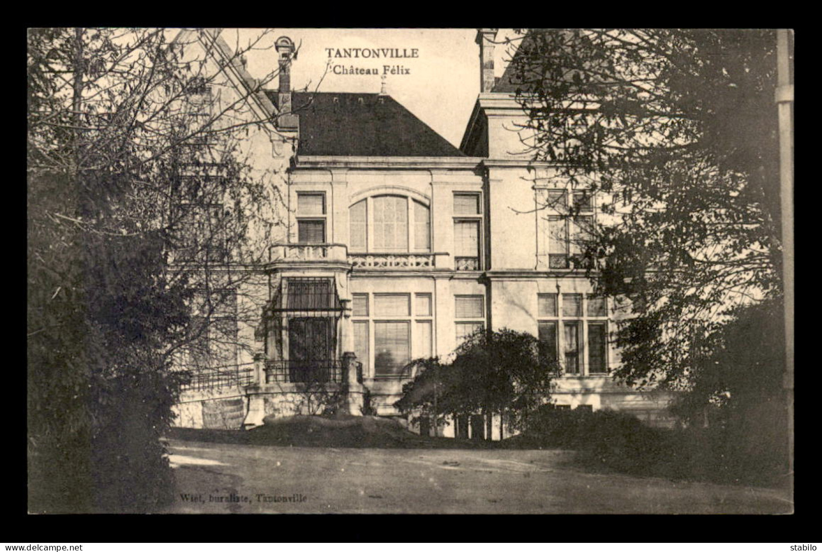 54 - TANTONVILLE - CHATEAU FELIX - Andere & Zonder Classificatie