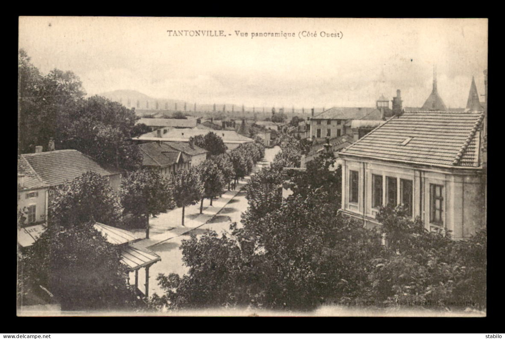 54 - TANTONVILLE - VUE PANORAMIQUE COTE OUEST - Andere & Zonder Classificatie