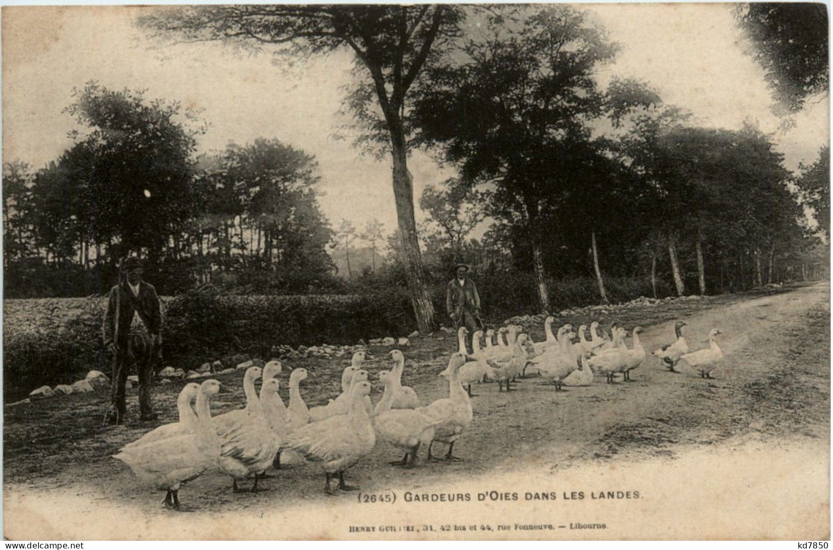 Gardeurs D Oies Dans Les Landes - Altri & Non Classificati