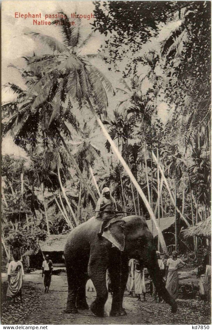 Ceylon - Elephant Passing Through Native Village - Sri Lanka (Ceylon)