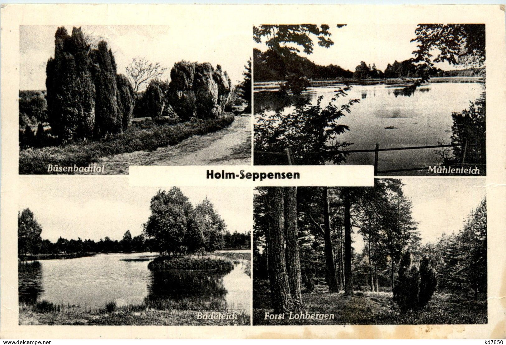 Holm-Seppensen - Buchholz