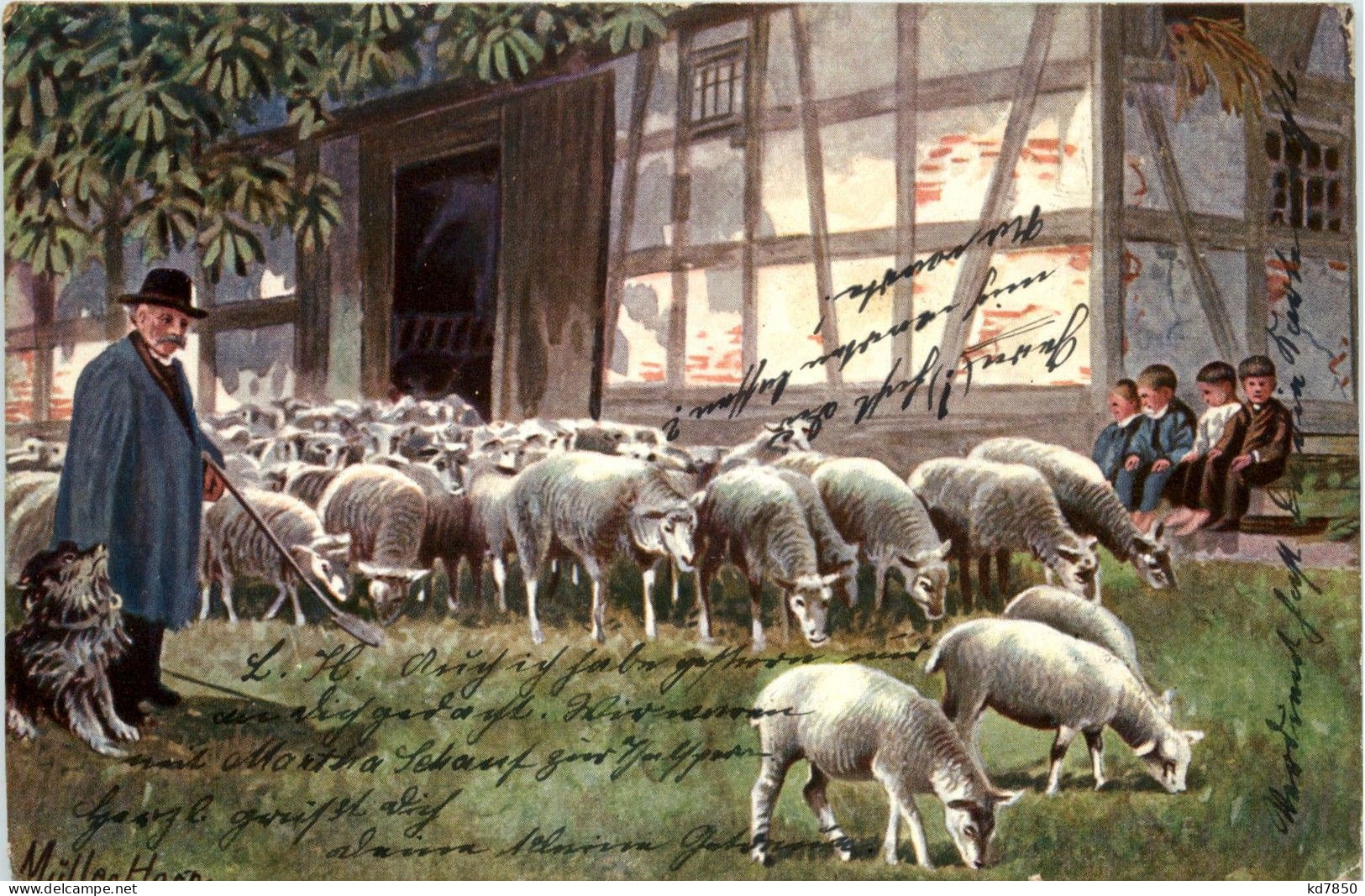 Schafe - Schäfer - Sonstige & Ohne Zuordnung